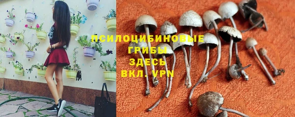 кристаллы Верея