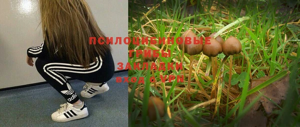 хмурый Верхний Тагил