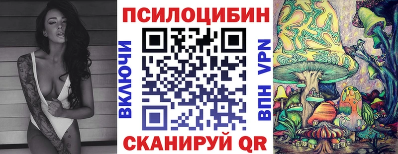как найти закладки  Чита  Галлюциногенные грибы Magic Shrooms 